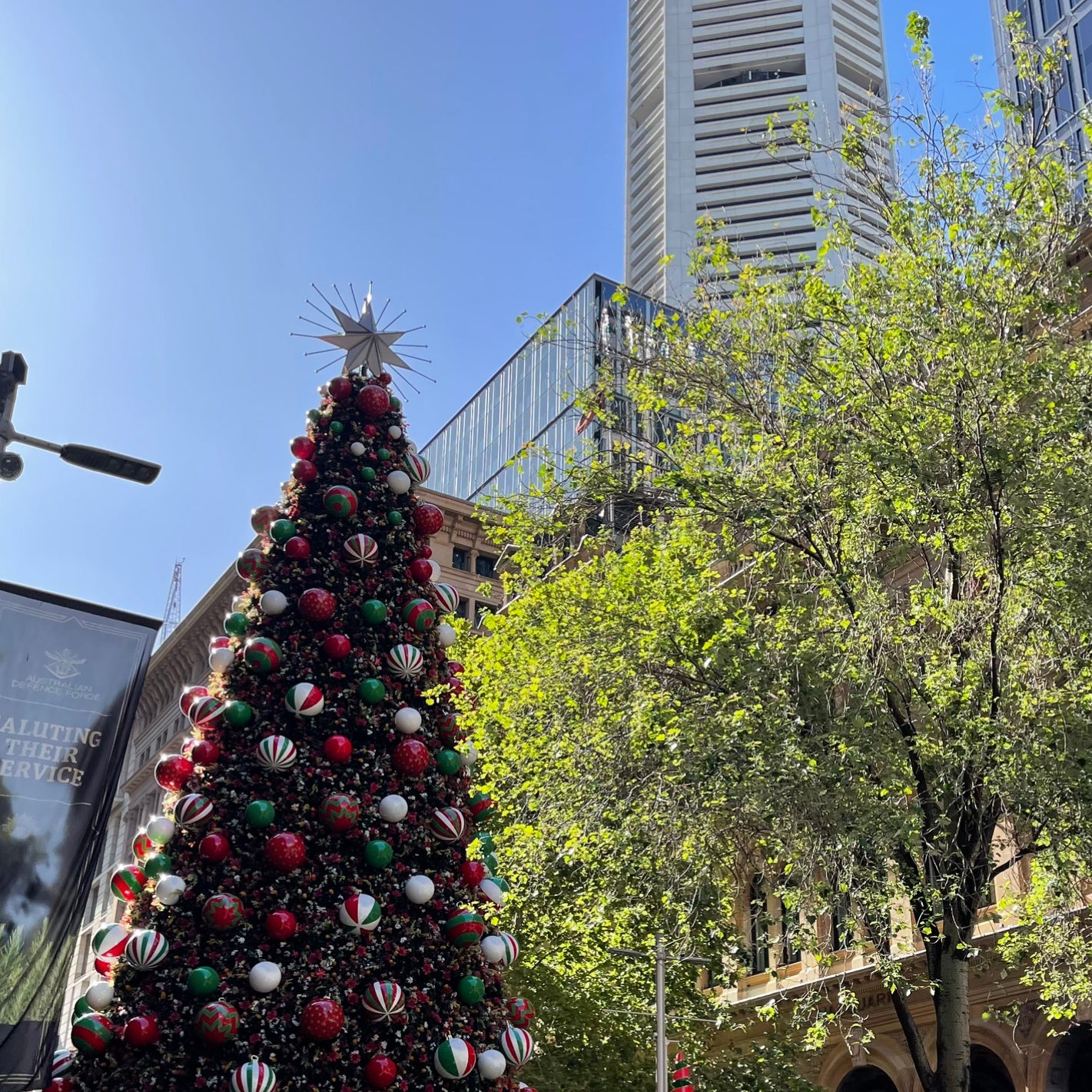 Our Christmas Tree in Sydney