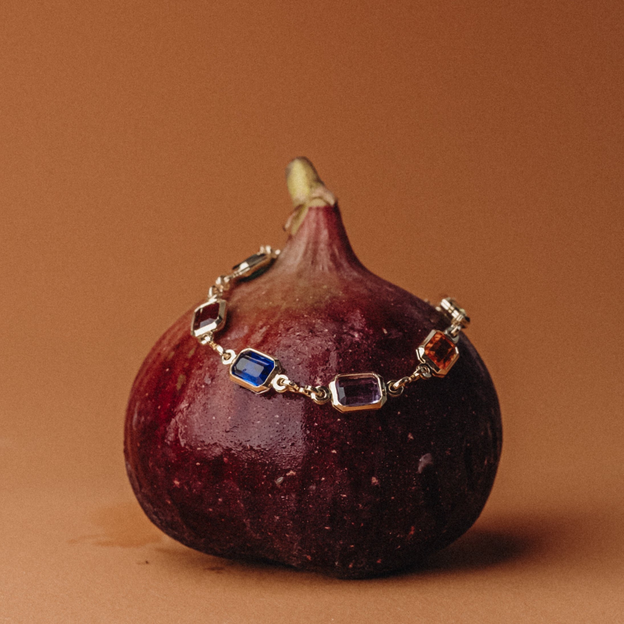 Rainbow bracelet styled on a fig 