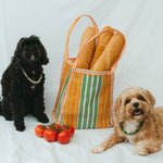 Two dogs with a striped baguette bag and tomatoes on a white background wearing necklaces
