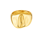 14k Gold fill textured ring 